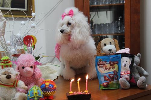 Nina Weissman, Birthday Party 3