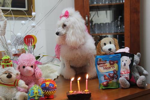 Nina Weissman, Birthday Party 3
