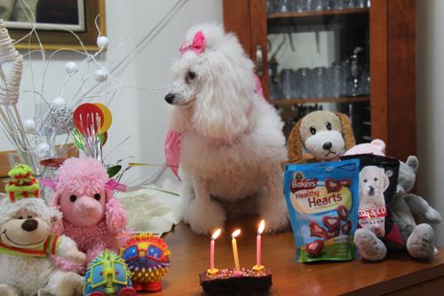 Nina Weissman, Birthday Party 3