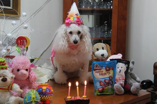 Nina Weissman, Birthday Party 3