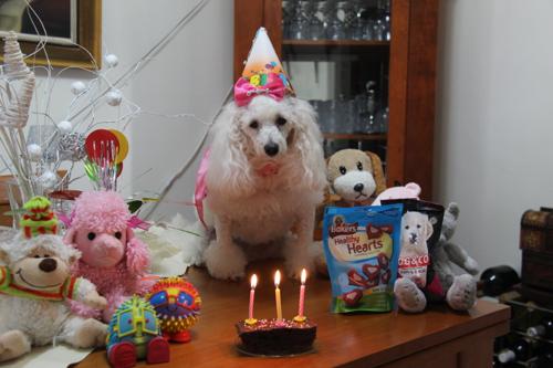 Nina Weissman, Birthday Party 3
