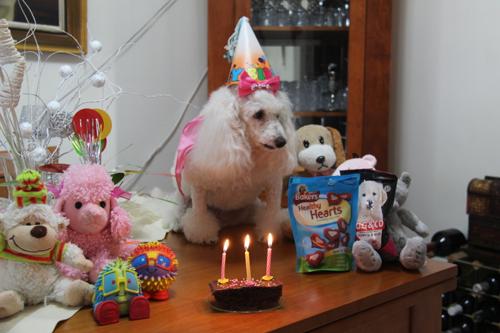 Nina Weissman, Birthday Party 3