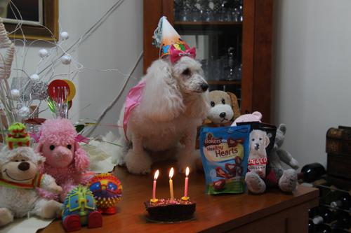 Nina Weissman, Birthday Party 3