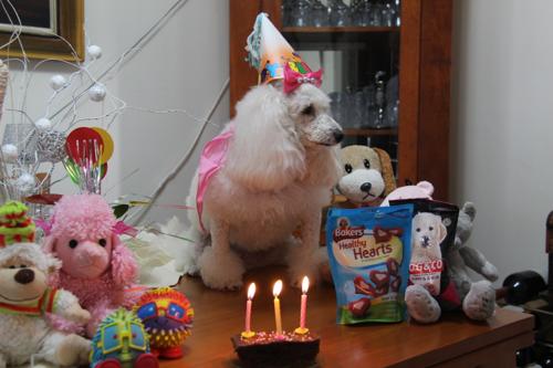 Nina Weissman, Birthday Party 3