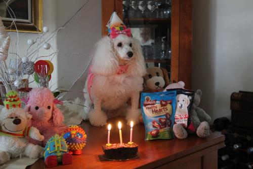 Nina Weissman, Birthday Party 3