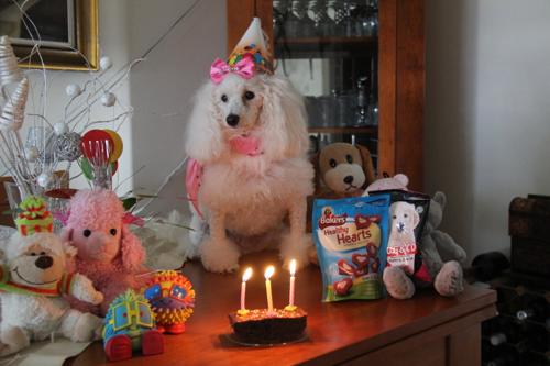 Nina Weissman, Birthday Party 3