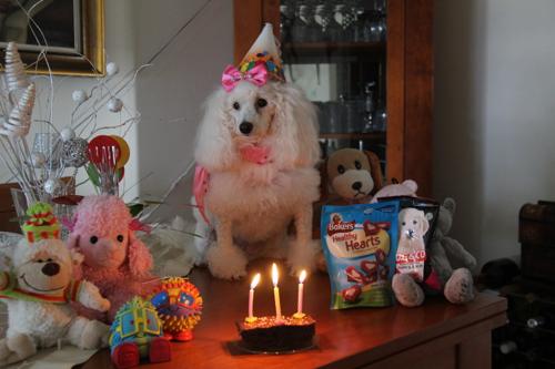 Nina Weissman, Birthday Party 3