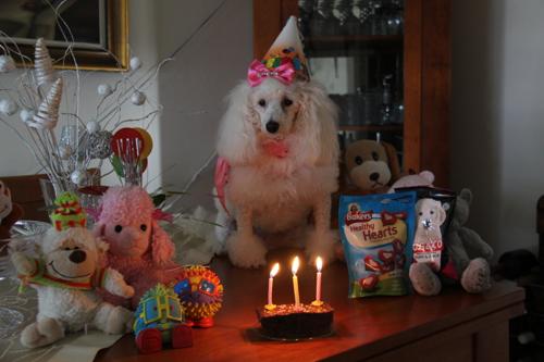 Nina Weissman, Birthday Party 3