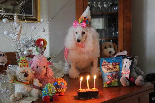 Nina Weissman, Birthday Party 3