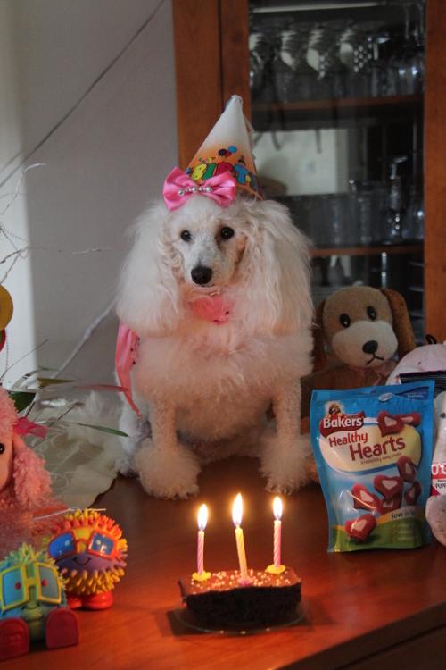 Nina Weissman, Birthday Party 3