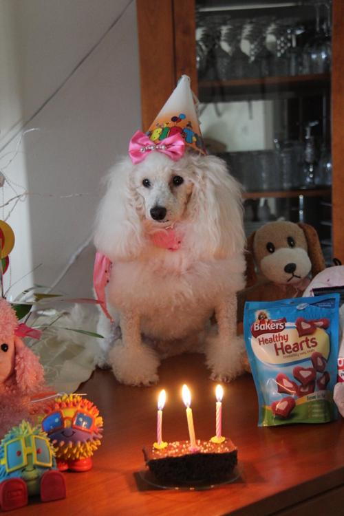Nina Weissman, Birthday Party 3