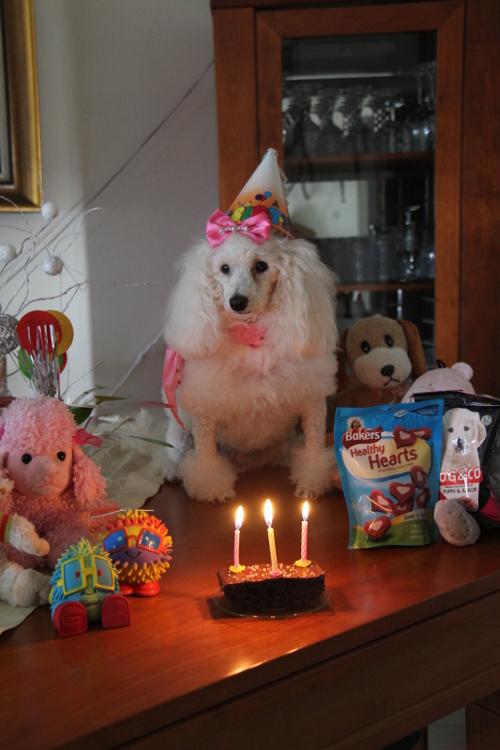 Nina Weissman, Birthday Party 3