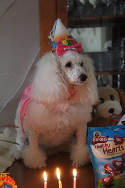 Nina Weissman, Birthday Party 3