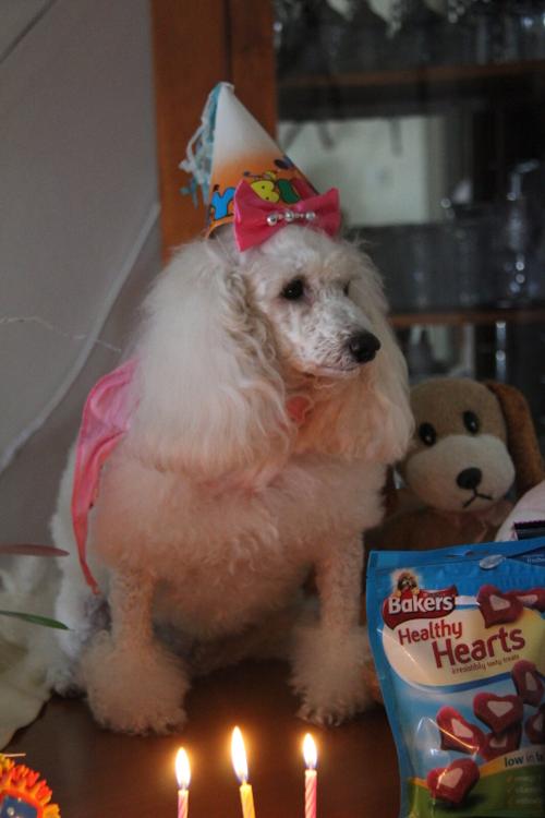 Nina Weissman, Birthday Party 3