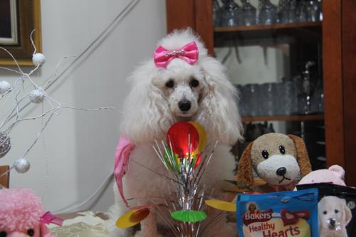 Nina Weissman, Birthday Party 3