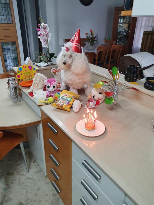 Nina Weissman, Birthday Party 8