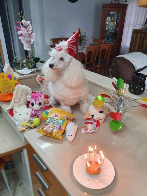 Nina Weissman, Birthday Party 8