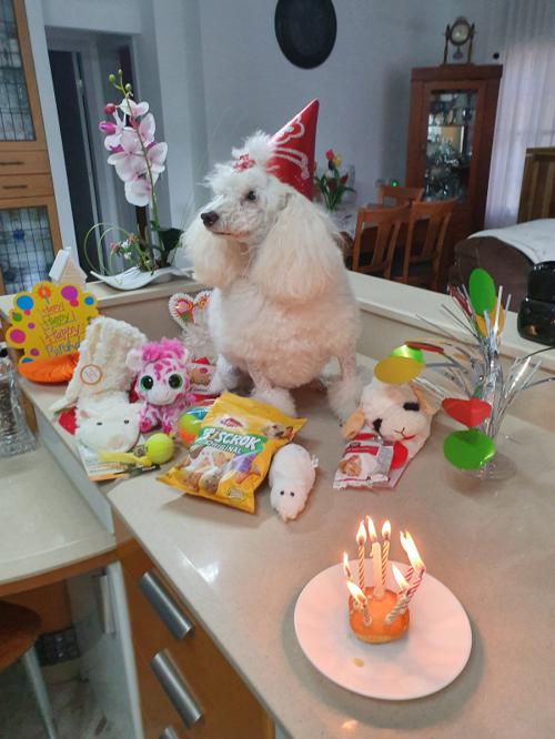 Nina Weissman, Birthday Party 8