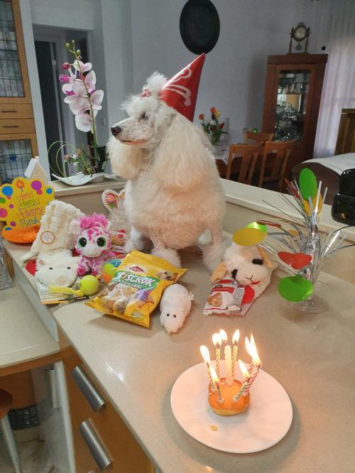 Nina Weissman, Birthday Party 8
