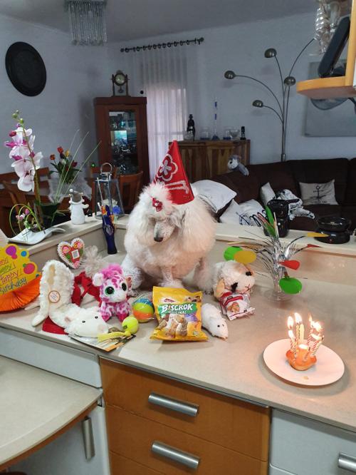 Nina Weissman, Birthday Party 8