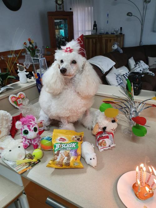 Nina Weissman, Birthday Party 8
