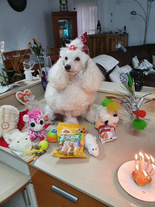 Nina Weissman, Birthday Party 8