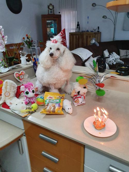 Nina Weissman, Birthday Party 8