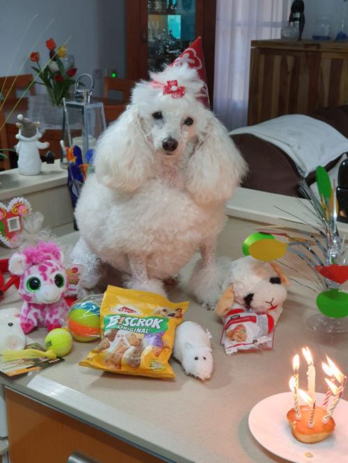 Nina Weissman, Birthday Party 8
