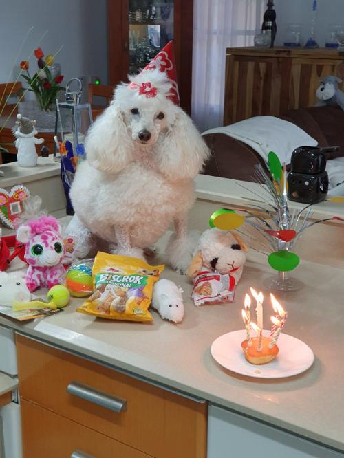Nina Weissman, Birthday Party 8