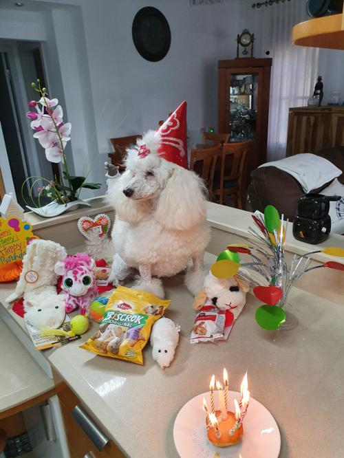 Nina Weissman, Birthday Party 8