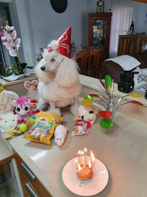 Nina Weissman, Birthday Party 8