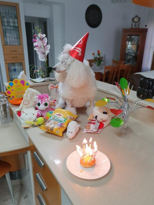 Nina Weissman, Birthday Party 8