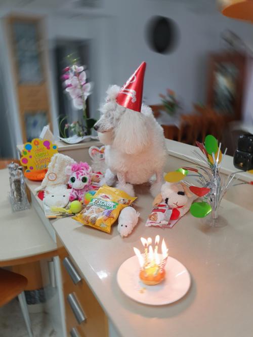 Nina Weissman, Birthday Party 8