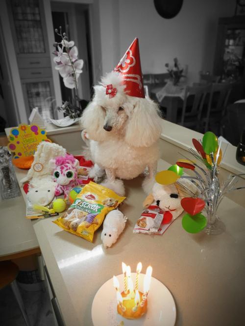 Nina Weissman, Birthday Party 8