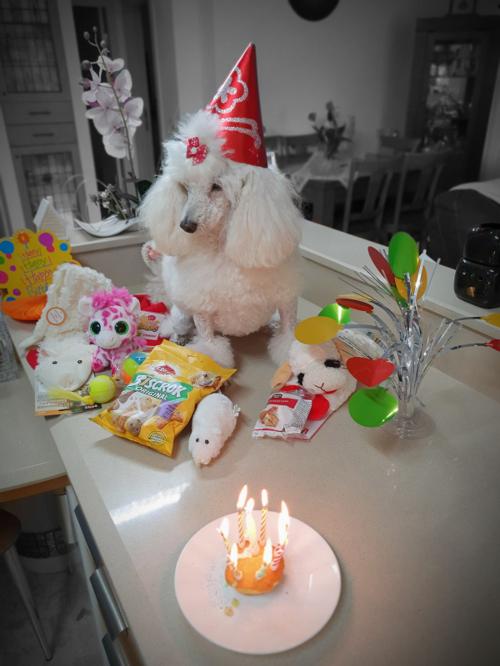 8th Birthday - 08/08/2019