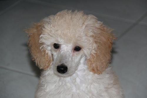 Nina Weissman, 04/11/2011