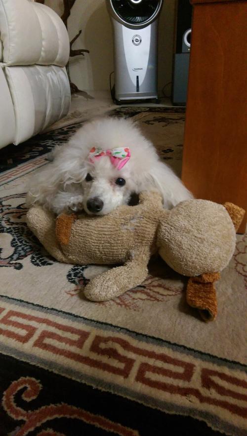 Nina Weissman, 06/11/2015