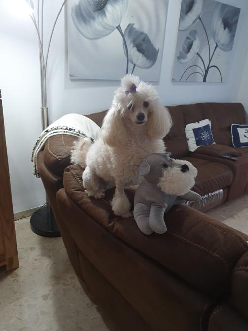 Nina Weissman, 28/05/2019