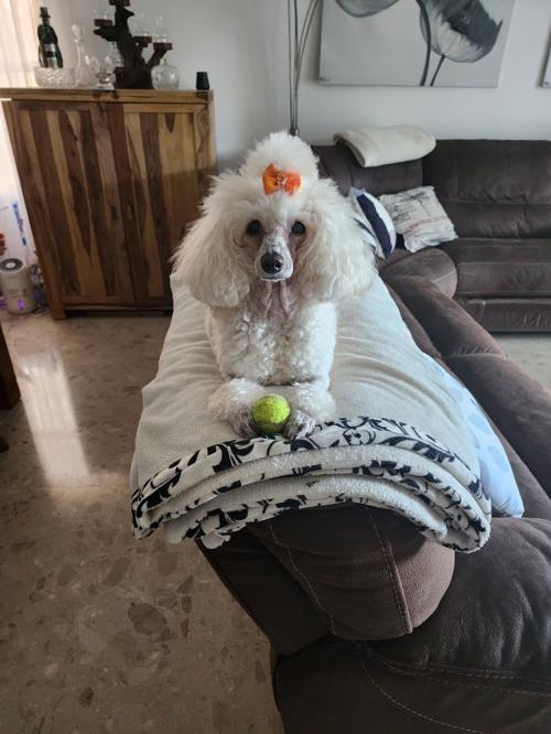 Nina Weissman, 13/05/2024