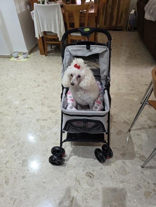 Nina Weissman, 21/11/2025