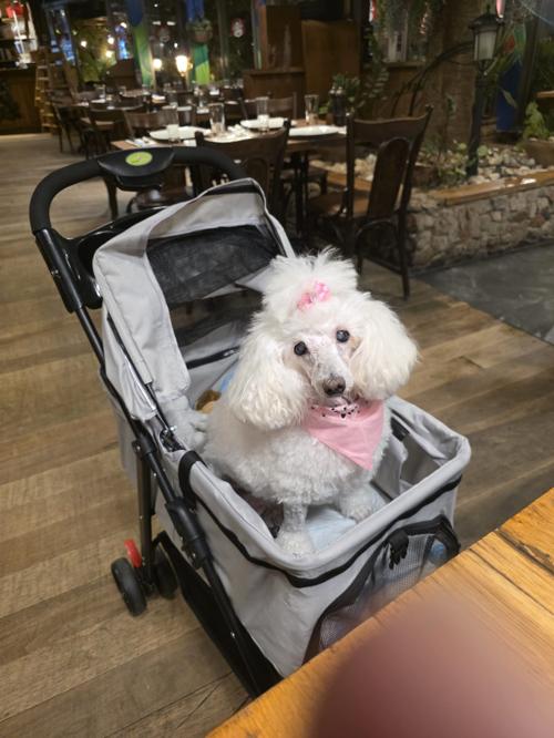 Nina Weissman, 03/12/2025